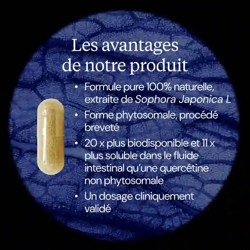 Quercétine phospholipide Quercefit - Image 3