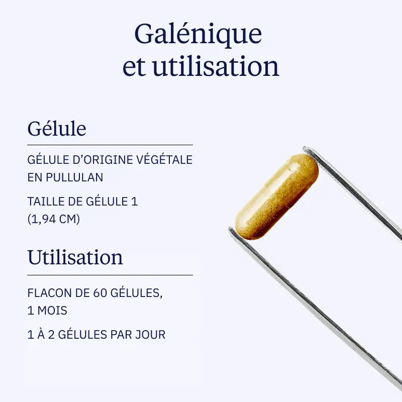 Quercétine phospholipide Quercefit - Image 4