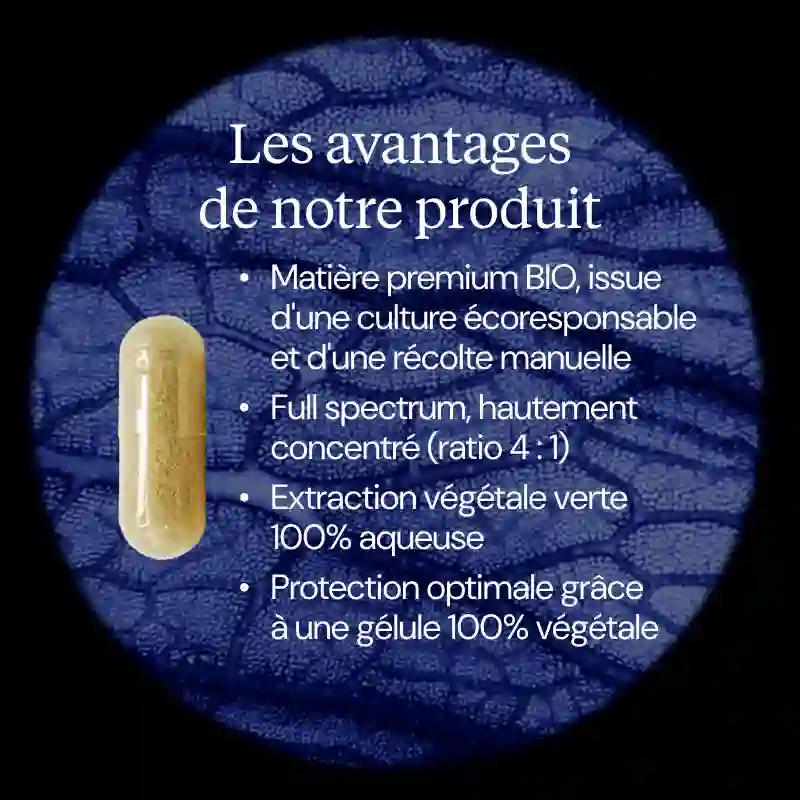Racine d'ortie BIO - Image 3