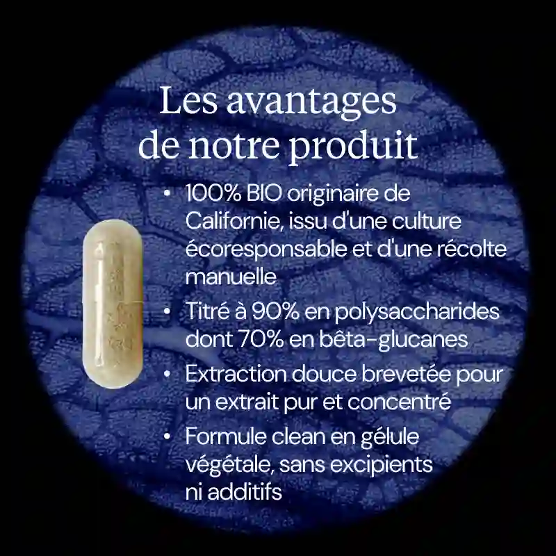 Reishi BIO - Image 3