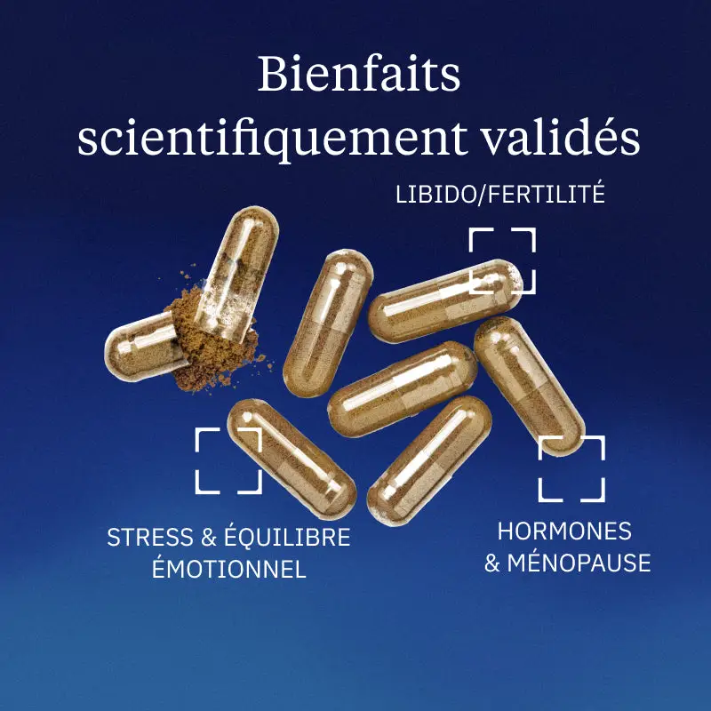 Safran BIO - Image 2