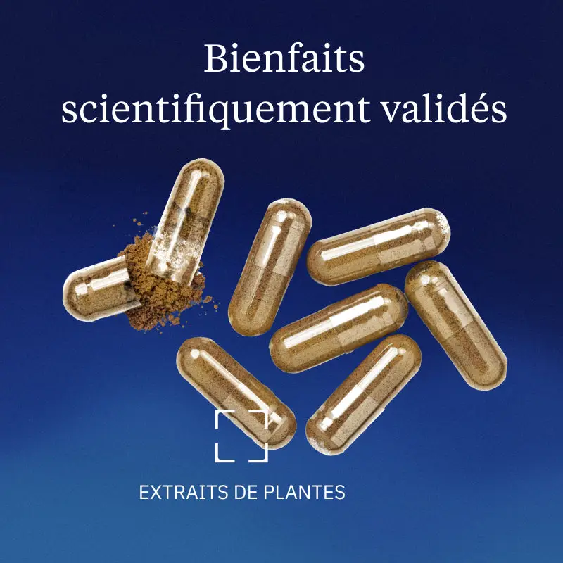 Sulforaphane - Extrait de brocolis - Image 2