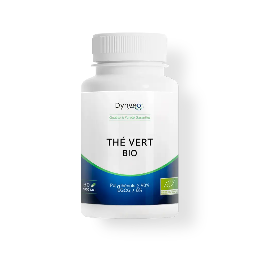 Thé Vert BIO