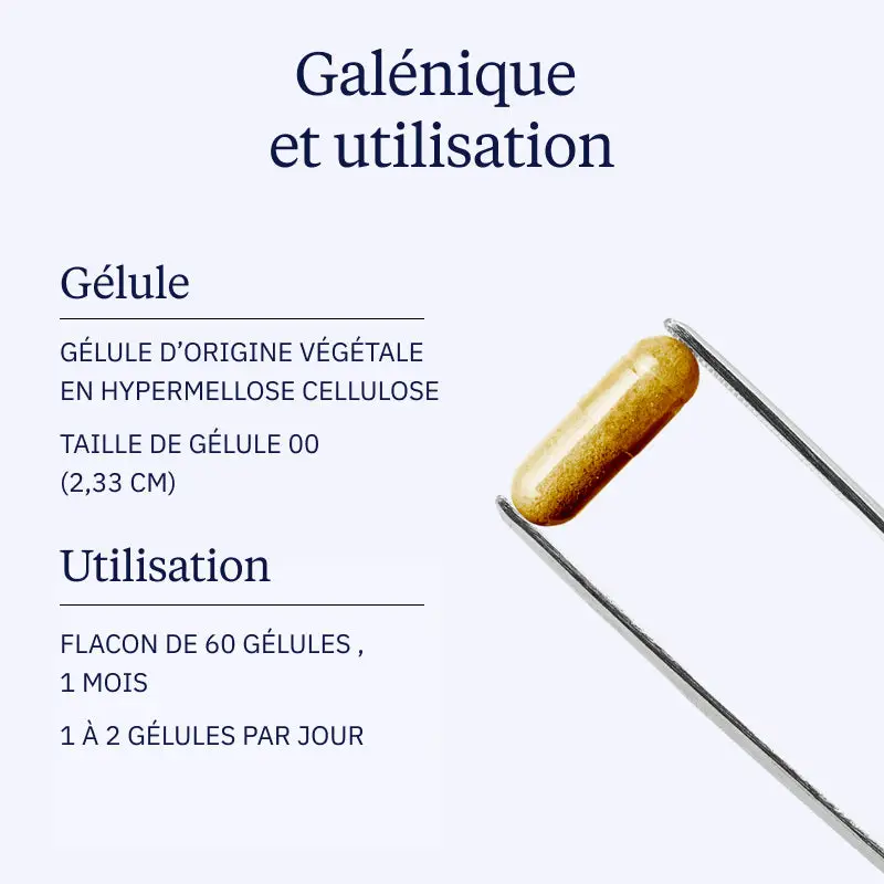 Thé Vert BIO - Image 4
