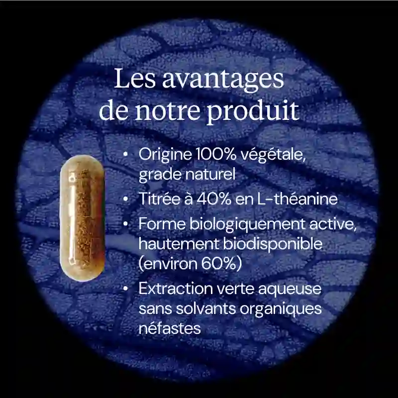 L-Théanine végétale - Image 3