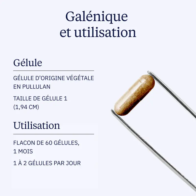 L-Théanine végétale - Image 4