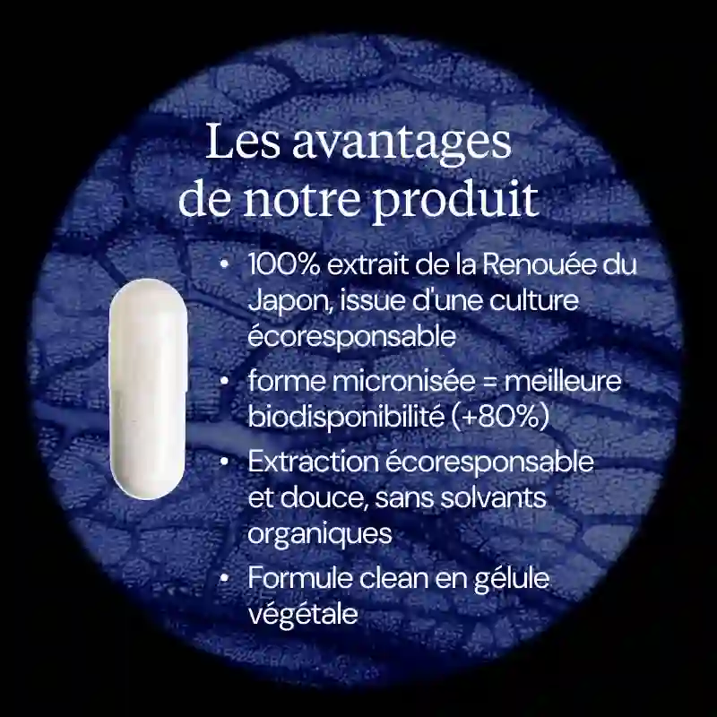 Trans-Resvératrol - Image 3