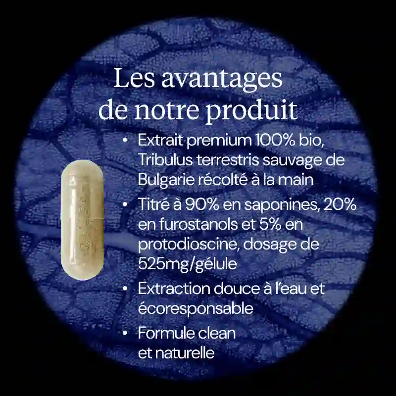 Tribulus terrestris BIO - Image 3