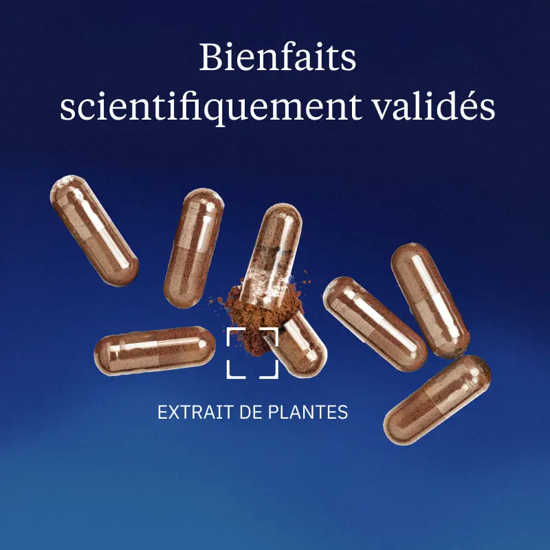 Urucum Bio - Image 2