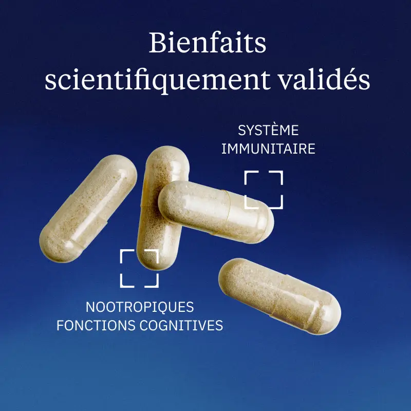 Vitamine B9 Quatrefolic® - Image 2