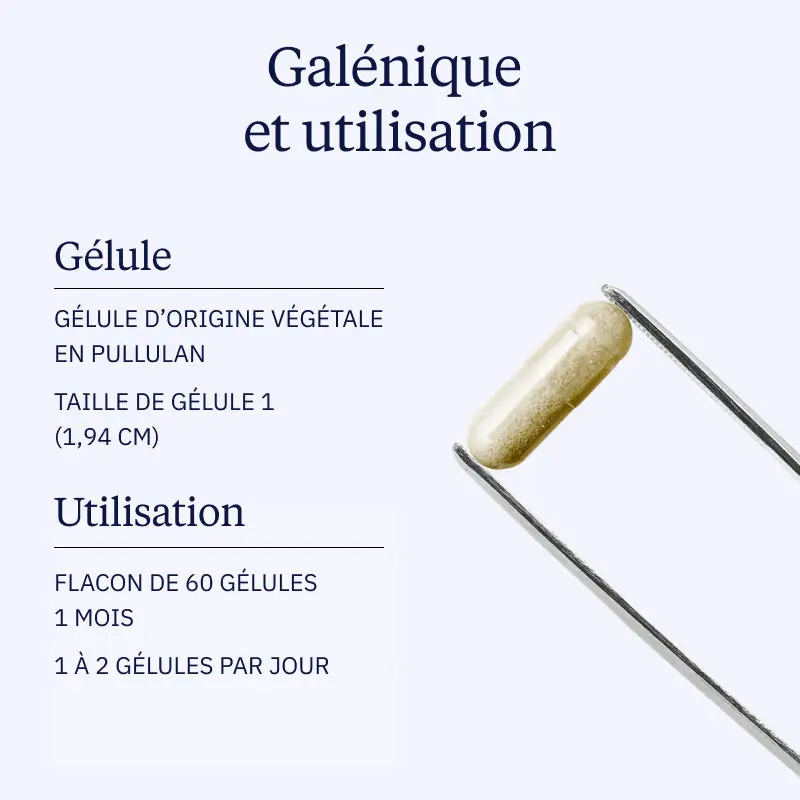 Vitamine B9 Quatrefolic® - Image 4