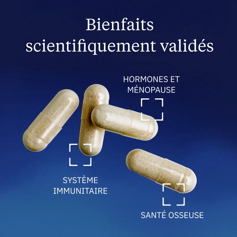 Vitamine D3 végétale - Image 2